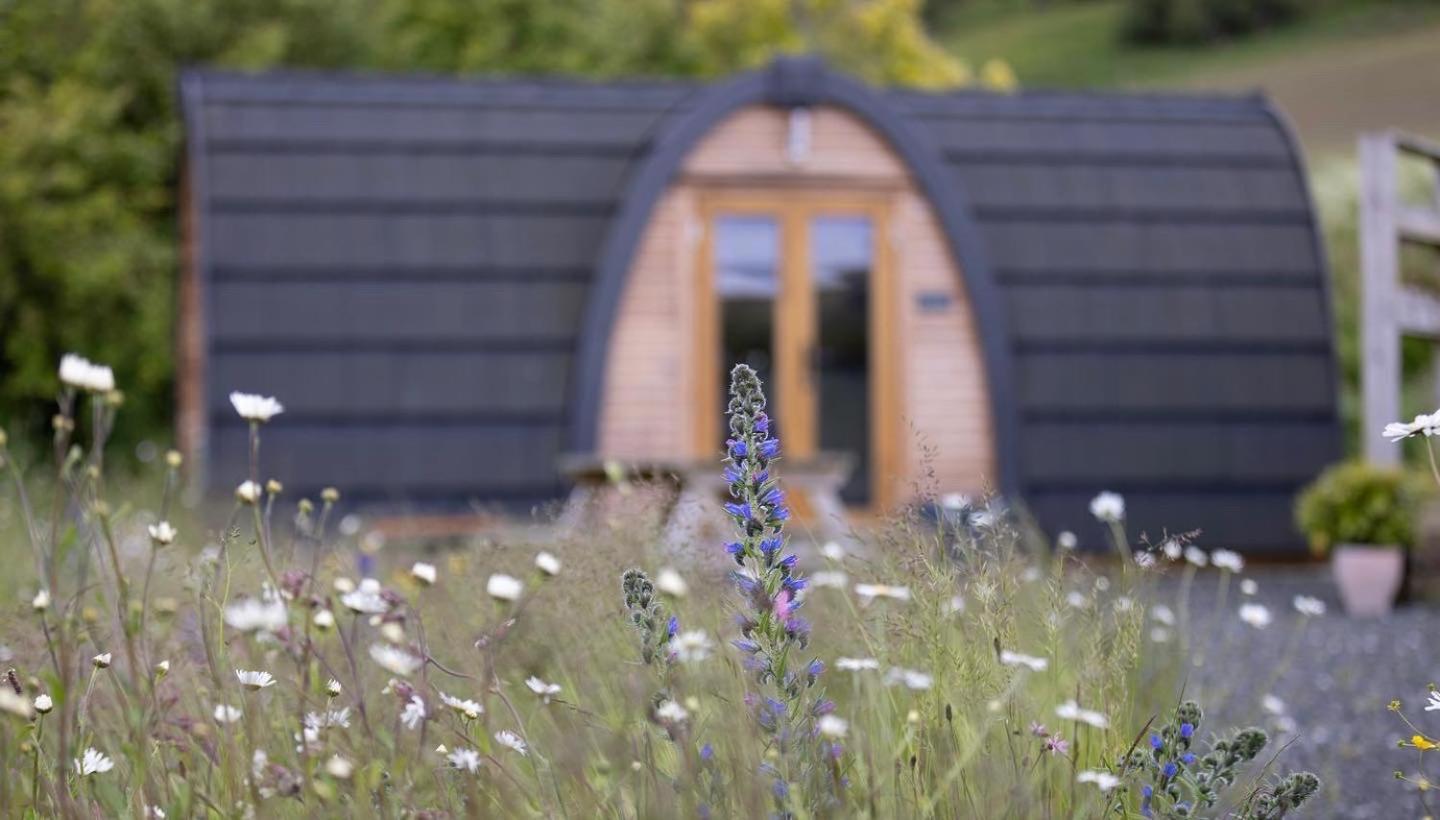 Isla Pod, Kilry Eco Pods Lägenhet Blairgowrie and Rattray Exteriör bild